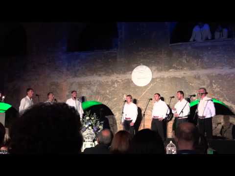 6. susret klapa u Sisku - klapa Škrlet - Projdi vilo