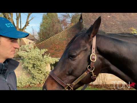 Cloth of Stars at Haras du Logis