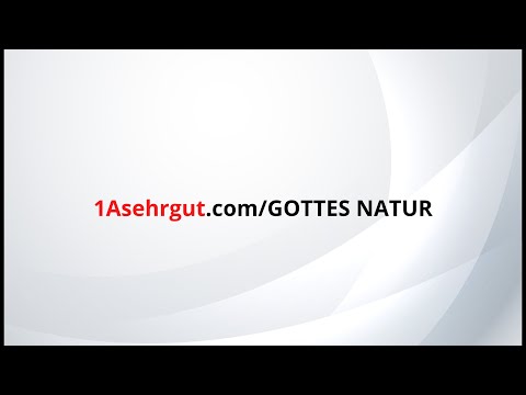 1Asehrgut ist GOTTES naturkonforme Finanz- und Wirtschaftsstrategie und führt zum Erfolg in Harmonie!