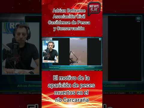NEWS SJE INFORMANDO EN SAN JOSE DE LA ESQUINA: Peces muertos Respuestas