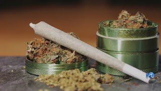 Virginia Cannabis Control Authority launches medical cannabis data das