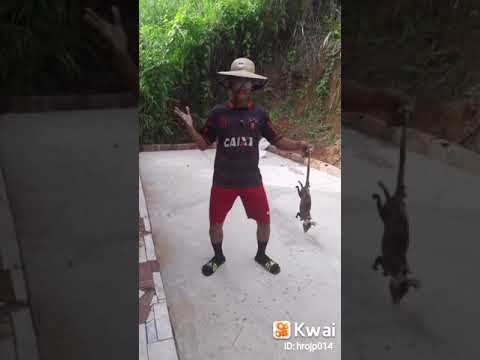 dimas do passinho tome no timbu