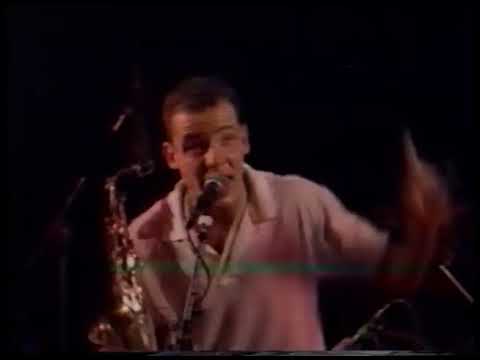 The LARKS - LIVE & INDEPENDENT