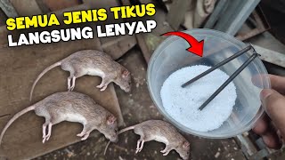 Download lagu TERRIBLE fast way to get rid of mice in the house, GET AWAY IMMEDIATELY!! mp3