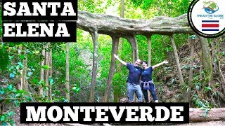 San Jose Costa Rica to Monteverde by bus | Santa Elena Natural Bridge | Hostel Life [S3-E17]