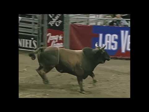 Bull Durham bucks Toby Turner - 99 PBR Billings