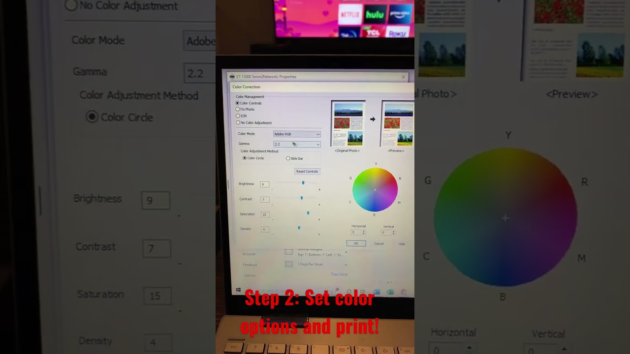 Step 2: Get correct printing settings for ecocolvent/sublimation printing. #ecosolvent #sublimation