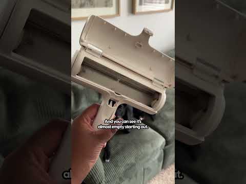 Testing Out The ChomChom Pet Hair Removal Roller | The Pack