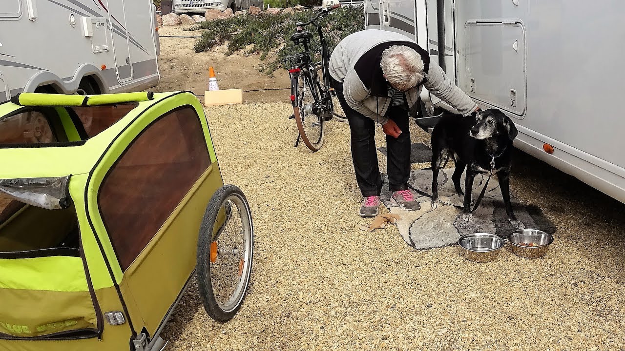 Hund im Wohnmobil Spanien-Reise!