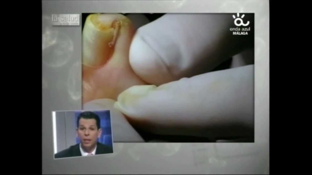 Francisco José Ariza Zafra-24