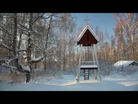 Snowy Dave cover