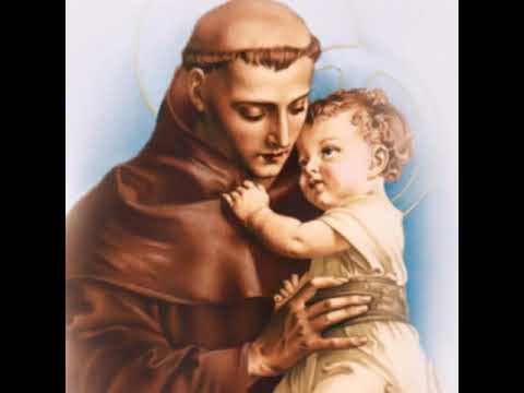 Ter visão de conjunto - Padre Renato Coelho IBP_