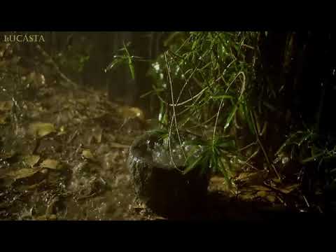 Pure Heavy Rain in Garden avec Deep Thunder Sounds - De vrais sons de pluie pour dormir, se détendre
