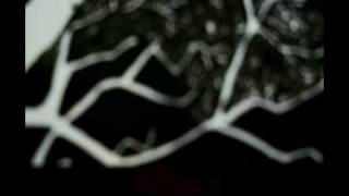 Hands off Cuba: Defibrilator