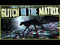 10 True Bizarre GLITCH IN THE MATRIX STORIES I SWEAR We Jumped Timelines