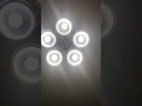 “I love you” by Samantha rose.