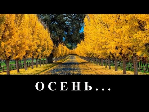 гр. Спасение... "Осень" - в городе тихая осень... (клип)