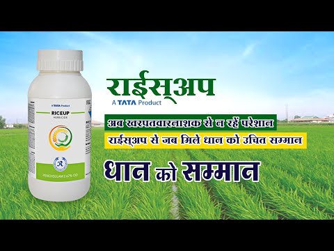 Tata riceup herbicide, penoxsulam 2.67% od, 400ml