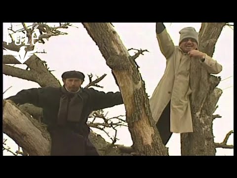 CIMA, LECI, SABRIA - E Fitova Leshin