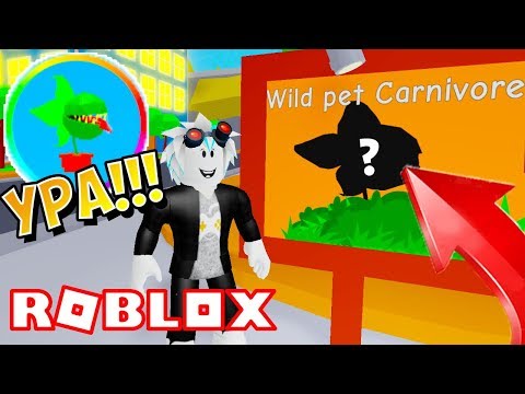 ДИКИЙ ПИТОМЕЦ С СЧАСТЛИВОГО ГОРОДА В СИМУЛЯТОРЕ ТРЕНИРОВКИ ПИТОМЦЕВ! Roblox Pet Trainer Simulator