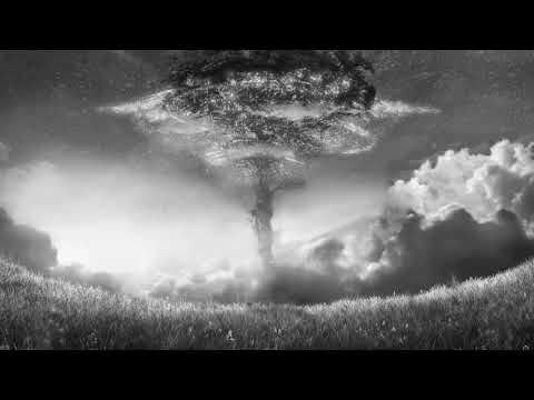 Walking With You + Desolation ~ Xenoblade Chronicles 2 OST