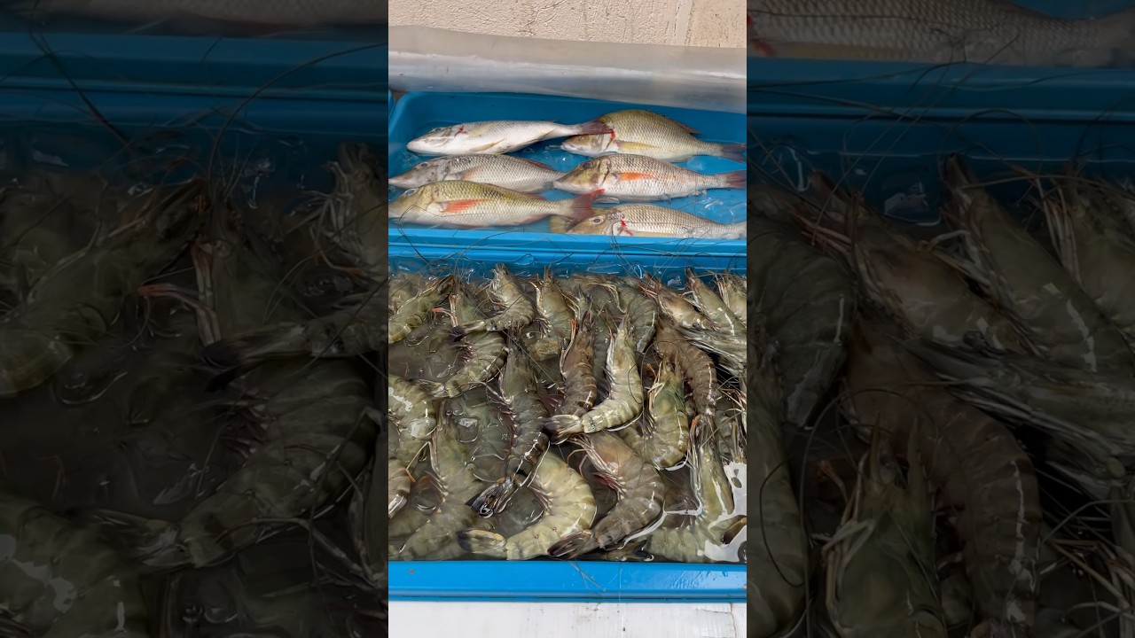 YouTube Short thumbnail