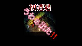 初遭遇#ほの暮らしの庭#ゲーム実況