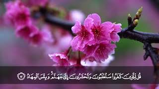 ما تيسر من سورة آل عمران l الشيخ د. محمد حسان image