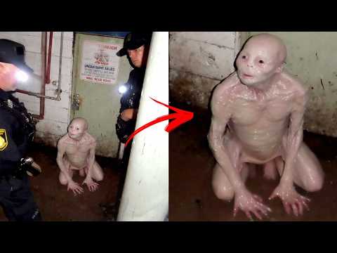 If You're Not Brave, Watch These Extreme Horror Videos at Your Own Risk | V88