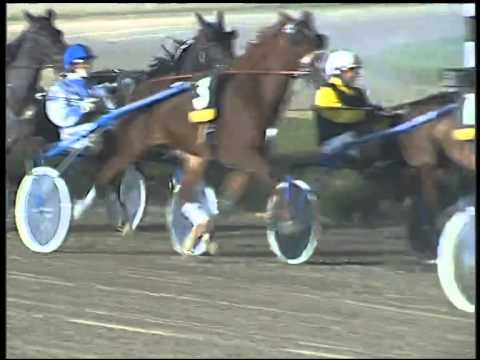 Trotto 25/11/2014 - 8° corsa - TRIS