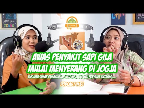 Awas !!! penyakit sapi gila mulai menyerang di Jogja lho ... | bersama dr. Mirzania Mahya Fathia