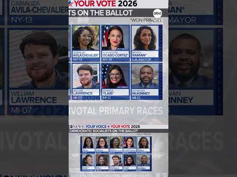 Analyzing Michigan's Democratic Senate primary