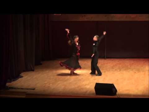 Humanitarna plesna revija Krapina 2014. - Ištvan Varga i Gabriela Pilić - paso doble