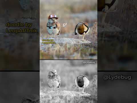 📲 VIRAL CONTENT 📲