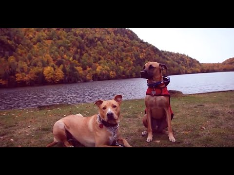 Volando Vamos Adirondack Mountains