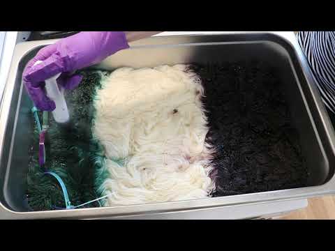 Dyepot Weekly #160 - Low Immersion Dyeing 300 g of Yarn; Mystical Forest