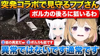 突発コラボでポルカを見守るフブさん+メタ読みで異常を発見するポルカ【ホロライブ/尾丸ポルカ/白上フブキ/切り抜き】