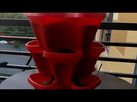 Mr Stacky Self Watering 3 Tier Garden