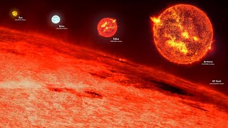 THE 10 LARGEST STARS IN THE UNIVERSE - 4K DOCUMENTARY