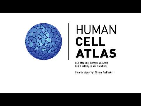 HCA Meeting: HCA Challenges and Solutions, Genetic diversity