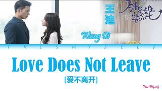 Wang Di (王迪) - Love Does Not Leave (爱不离�