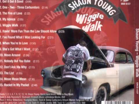 Shaun Young - Get it got it good