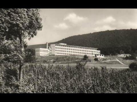 Mi van veled szanatórium???