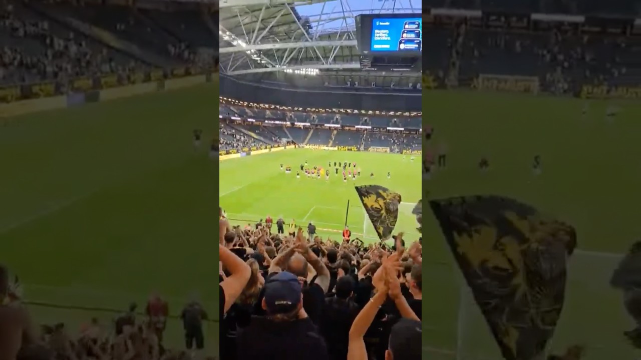 AIK - DIF tagga nu 🔥 🖤💛 #aik #ultras #tifo #football #gnaget #derby #dif #norra