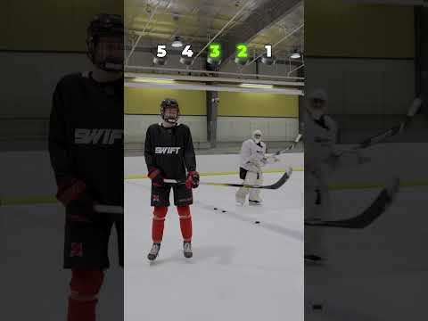 Can You Guess the Hockey Puck? 🏒