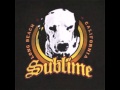 Same in the end-Sublime