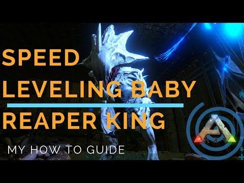 Fastest way to level Baby Reaper King