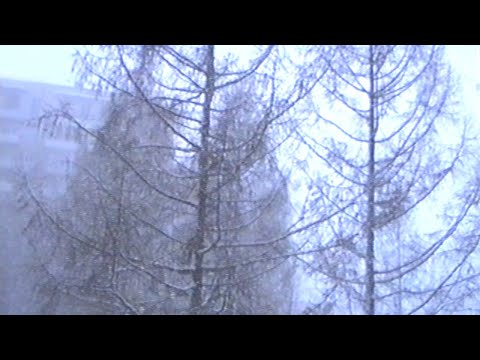Творожное озеро — 6 (Official Video)