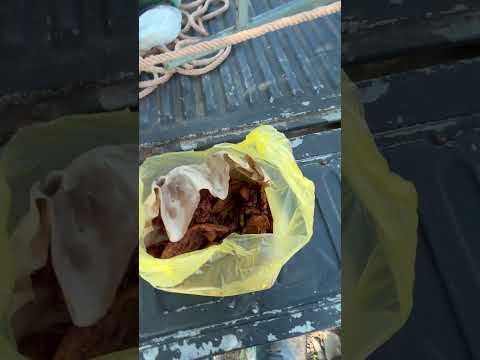 Video de NEWTON | PANELES SOLARES