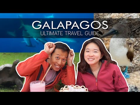 GALAPAGOS: ULTIMATE TRAVEL GUIDE | Top 10 BEST day trips & dive sites
